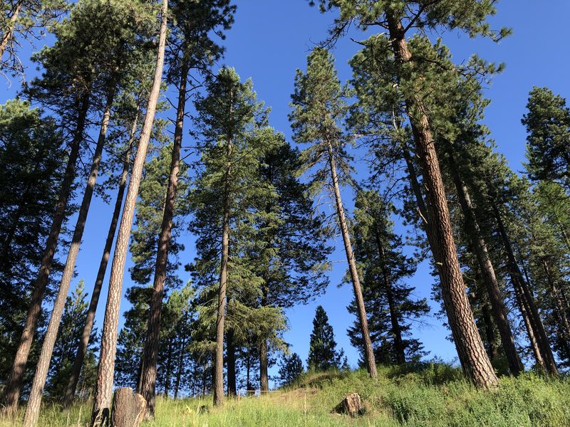 Coeur d’Alene Keepers of the Earth
